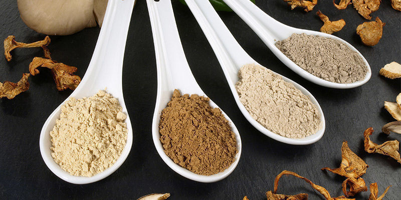 There's More To Mushrooms Than Meets The Eye There's More To Mushrooms Than Meets The Eye