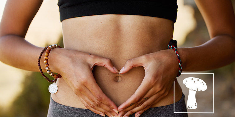 What Do Mushrooms Do For You Body? What Do Mushrooms Do For You Body?