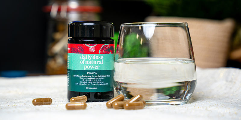 4 sposoby na wykorzystanie grzybów cordyceps