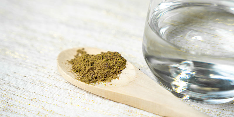 Doświadcz mocy grzybów kordyceps