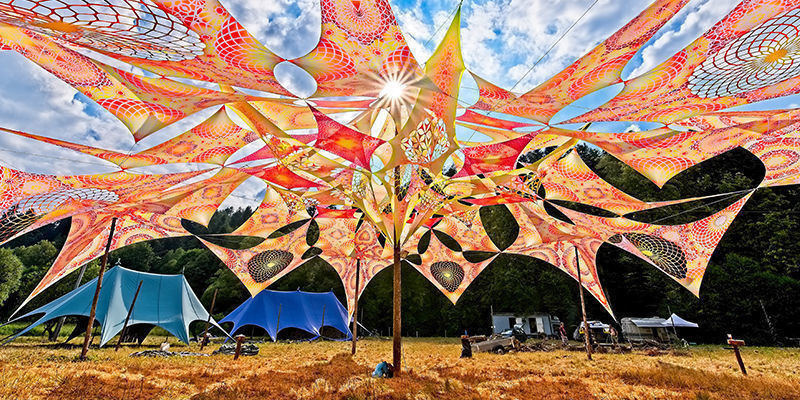 Współtowarzysze psychodelicznych podróży