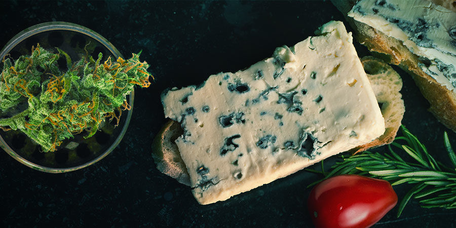 Blue Cheese: Smak i działanie BLUE CHEESE: FLAVOUR & EFFECTS