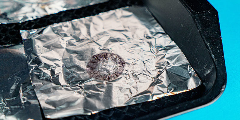 Jak zrobić odcisk zarodników grzybów: krok 8