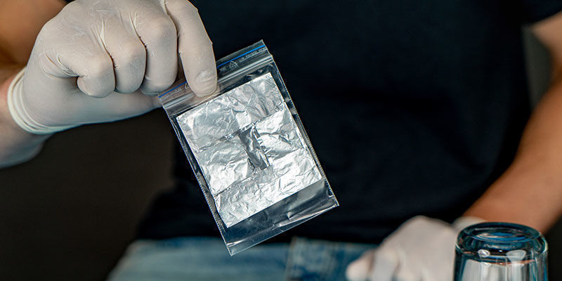 Jak zrobić odcisk zarodników grzybów: krok 10