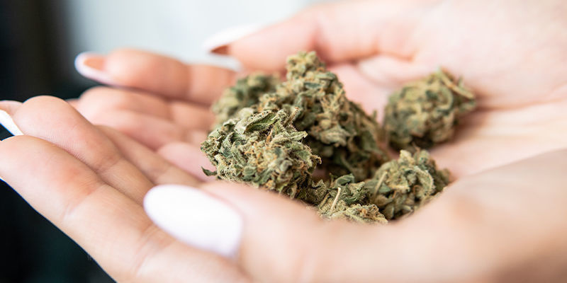 Korzyści z używania konopi jako narzędzia do biohackingu