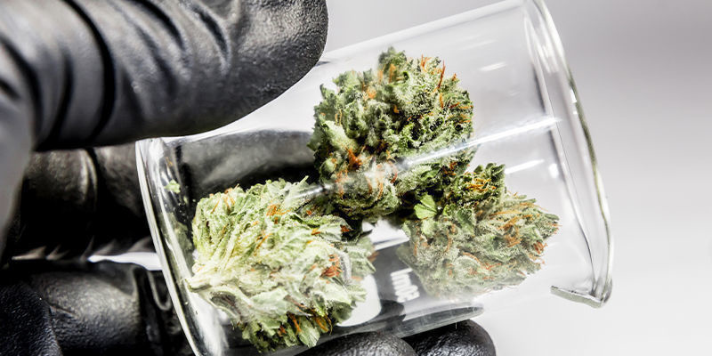 Czym jest biohacking?