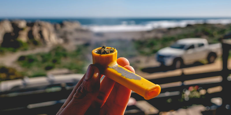 Destination dispensaries: A unique attraction Destination dispensaries: A unique attraction