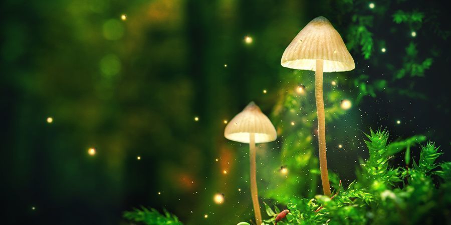 Wybór miejsca Wybór miejsca