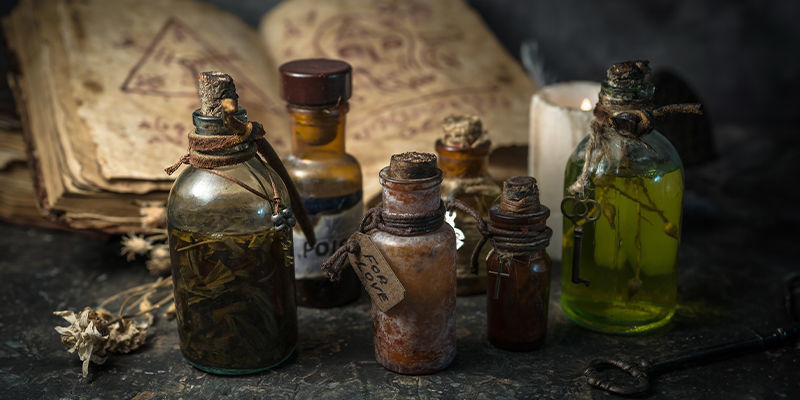 Co, jeśli druidzi wcale nie używali grzybów? Co, jeśli druidzi wcale nie używali grzybów?