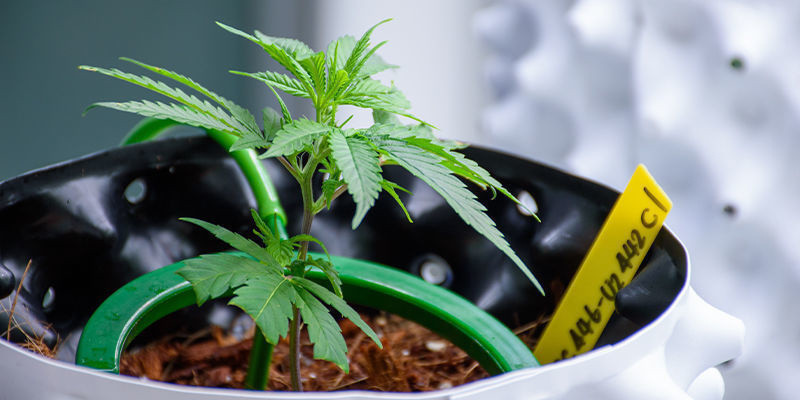 Inventory management and demand forecasting Inventory management and demand forecasting