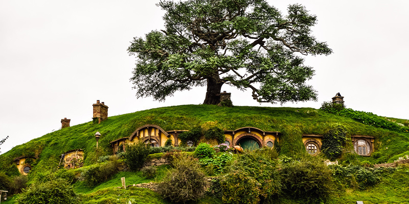 Longbottom Leaf w Władcy Pierścieni: szkoda, że to nie weed!