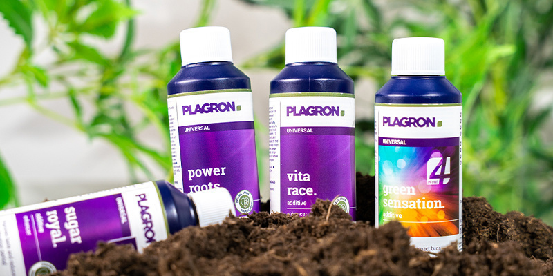 Cannabis additives: A worthy consideration Cannabis additives: A worthy consideration