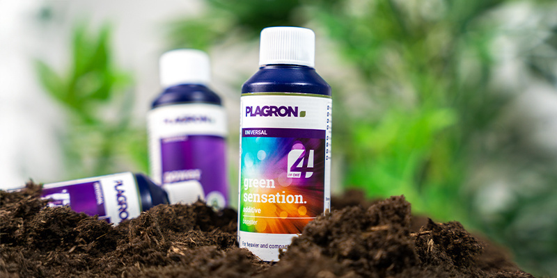 Jak używać dodatków na poszczególnych etapach wzrostu Jak używać dodatków na poszczególnych etapach wzrostu