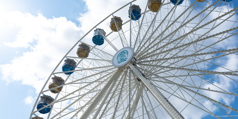 The Zamnesia Experience The Zamnesia Experience