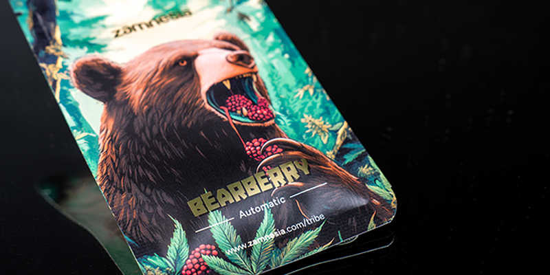 Miejsce 4: Bearberry Automatic (Zamnesia Seeds) Miejsce 4: Bearberry Automatic (Zamnesia Seeds)