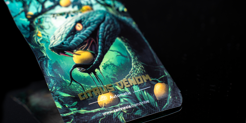 Miejsce 2: Citrus Venom Automatic (Zamnesia Seeds) Miejsce 2: Citrus Venom Automatic (Zamnesia Seeds)