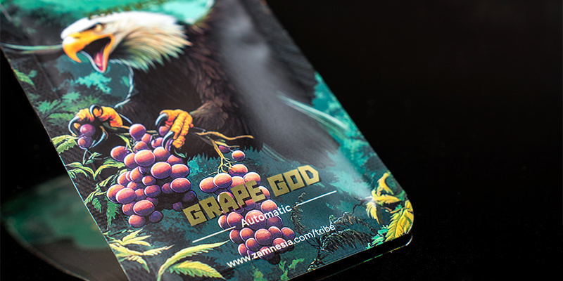 Miejsce 5: Grape God Automatic (Zamnesia Seeds) Miejsce 5: Grape God Automatic (Zamnesia Seeds)