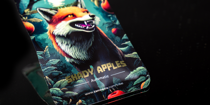 Miejsce 1: Shady Apples Automatic (Zamnesia Seeds) Miejsce 1: Shady Apples Automatic (Zamnesia Seeds)