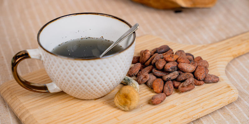 Jak przygotować domowy napar z grzybków halucynków i kakao (Chocolātl) Jak przygotować domowy napar z grzybków halucynków i kakao (Chocolātl)