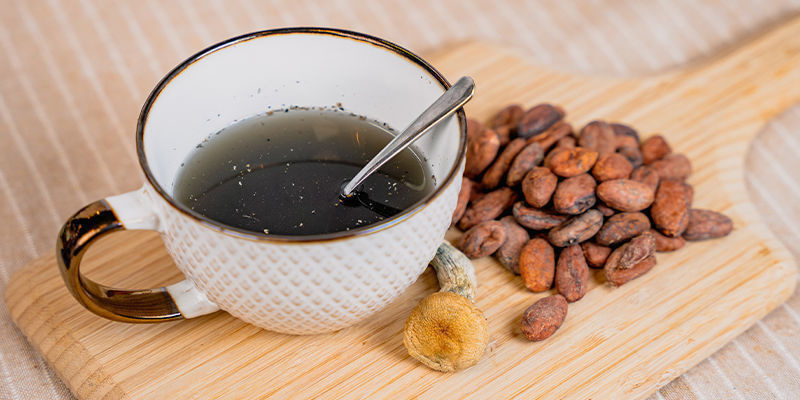 Grzyby i kakao — starożytny aztecki duet psychodeliczny Grzyby i kakao — starożytny aztecki duet psychodeliczny