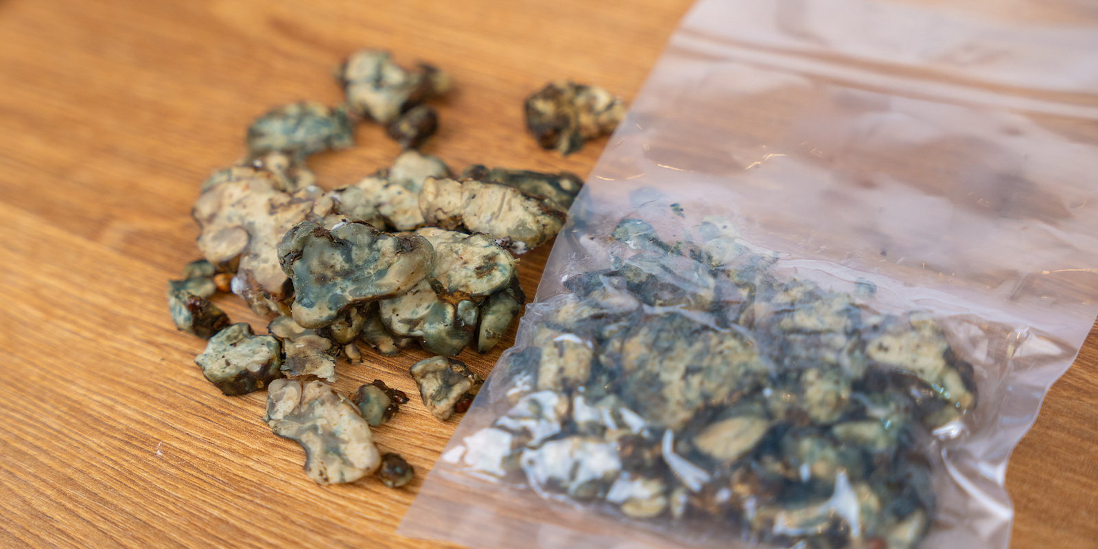 Jak rozpoznać, czy magiczne trufle się zepsuły