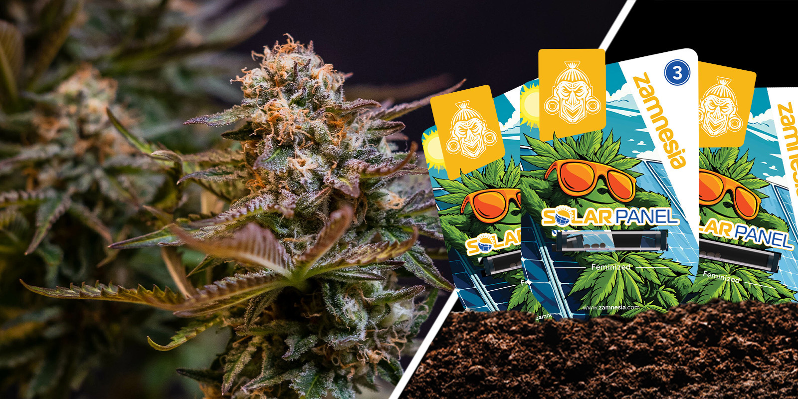 Solar Panel: Słodka cytrusowa moc, dzień i noc