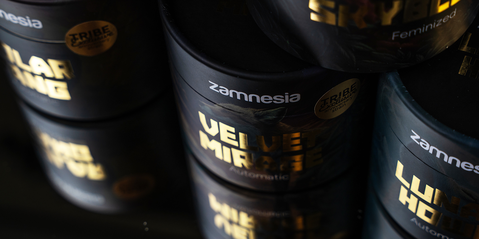 Gotowy, aby doświadczyć wszystkiego, co ma do zaoferowania TRIBE? Gotowy, aby doświadczyć wszystkiego, co ma do zaoferowania TRIBE?