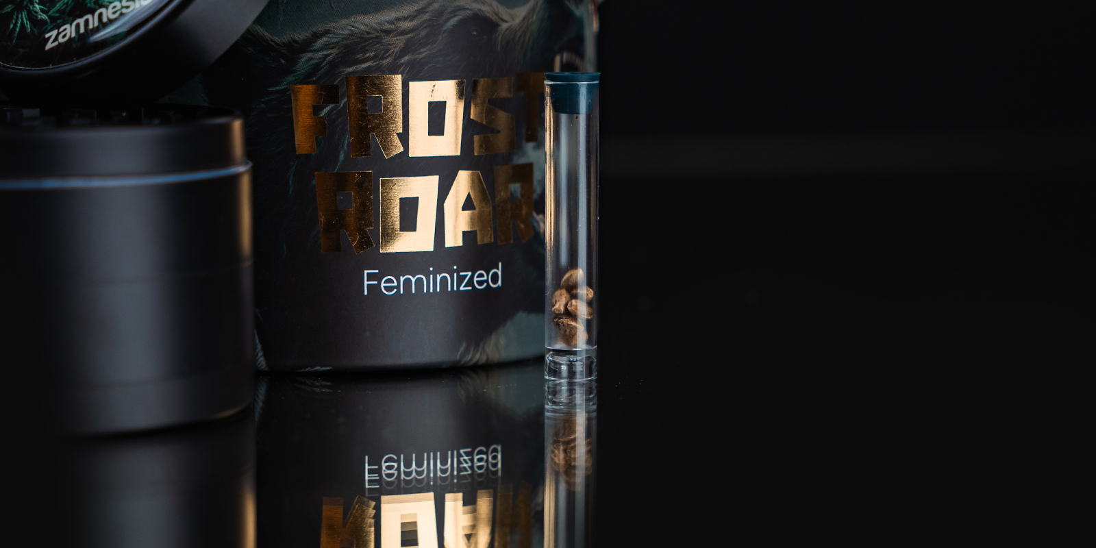 Dlaczego warto wybrać TRIBE? Dlaczego warto wybrać TRIBE?