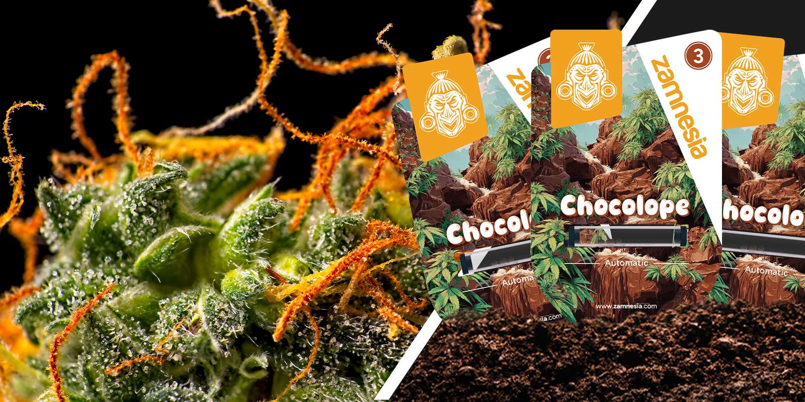 Chocolope: Nostalgiczny klimat z czekoladową nutą
