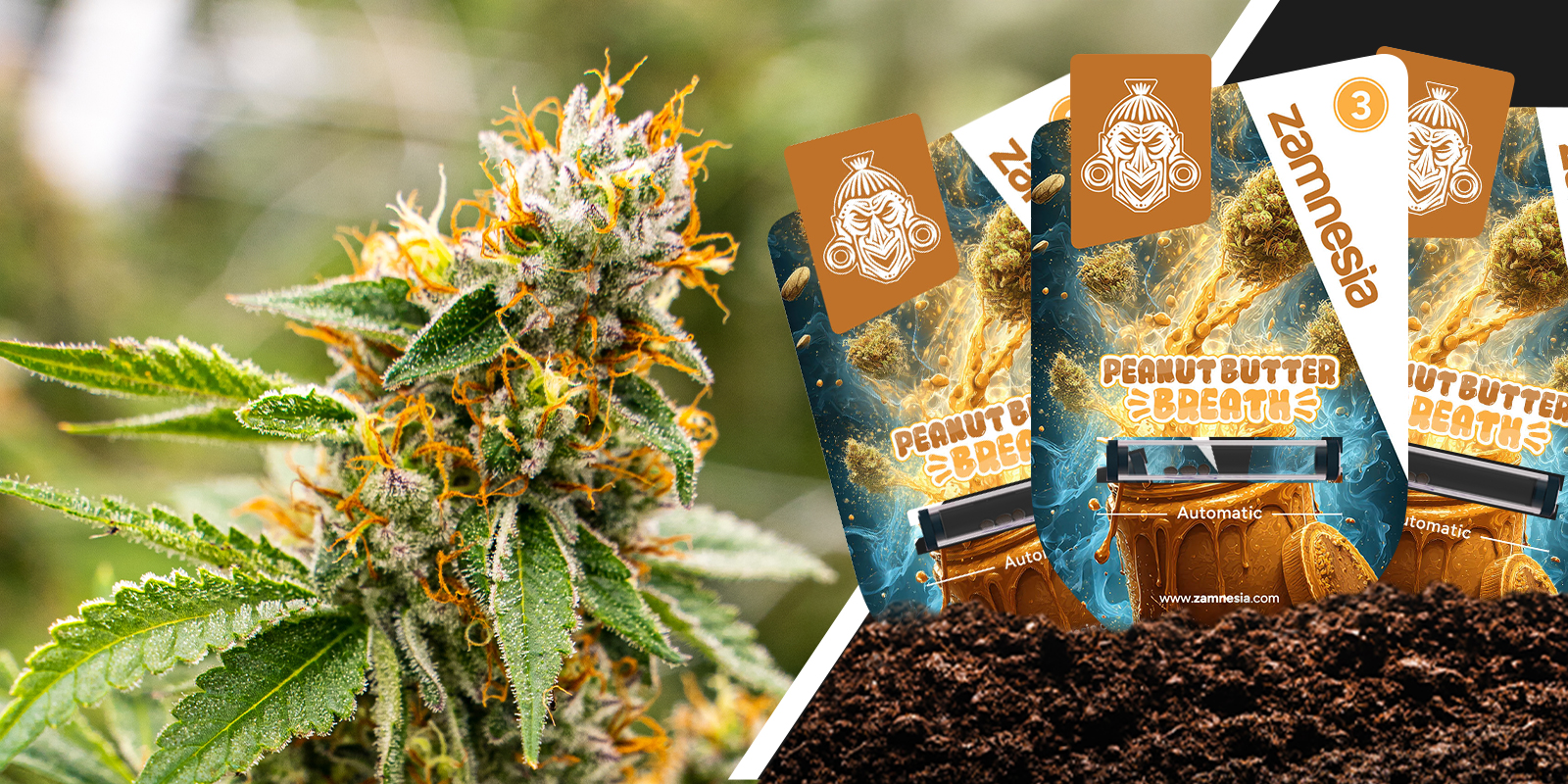 Peanut Butter Breath: Creamy power with a nutty finish