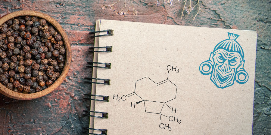 Czym jest beta-kariofilen? Czym jest beta-kariofilen?