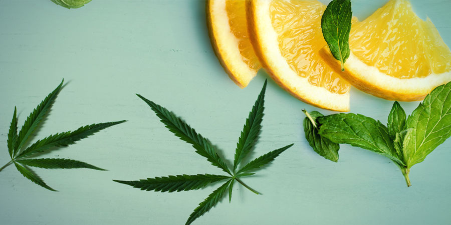 Chemdawg: Smak i działanie CHEMDAWG: FLAVOUR & EFFECTS