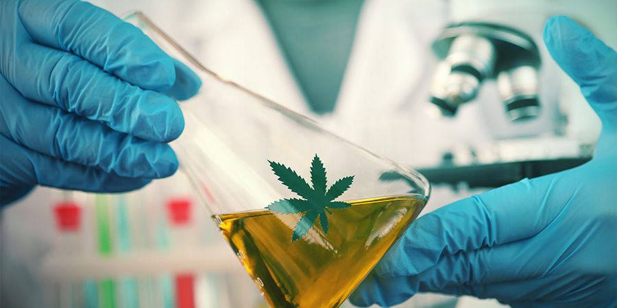 Automaty są coraz lepsze Odmiany marihuany automaty wciąż się poprawiają