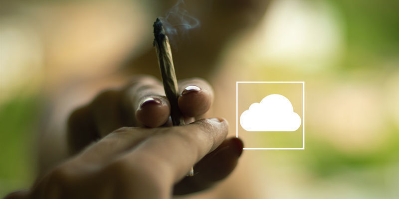 Czy marihuana może zatrzymać sny? Czy marihuana może zatrzymać sny?