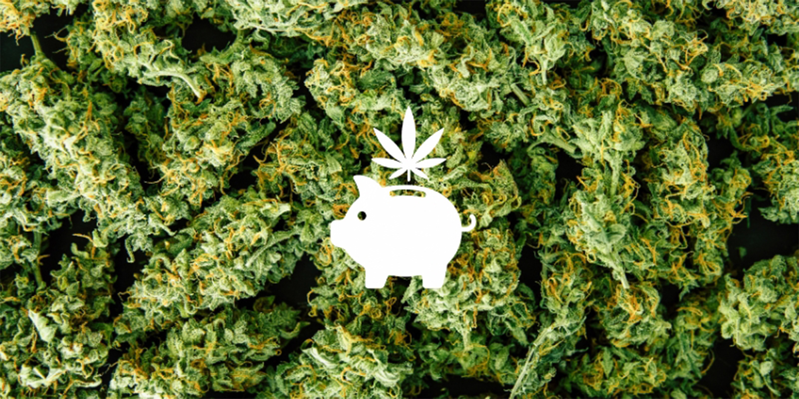 Powód nr 1: Oszczędzaj pieniądze na dłuższą metę