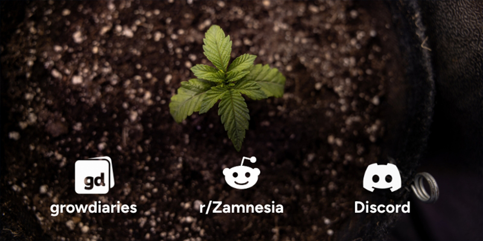 Powód nr 10: Dołącz do rozwijającej się społeczności