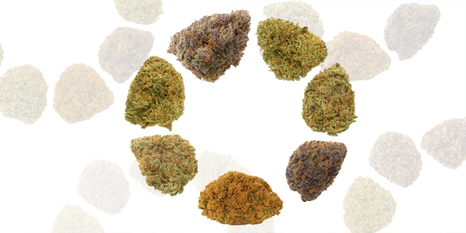 Powód nr 3: Dopasowane do Twoich potrzeb