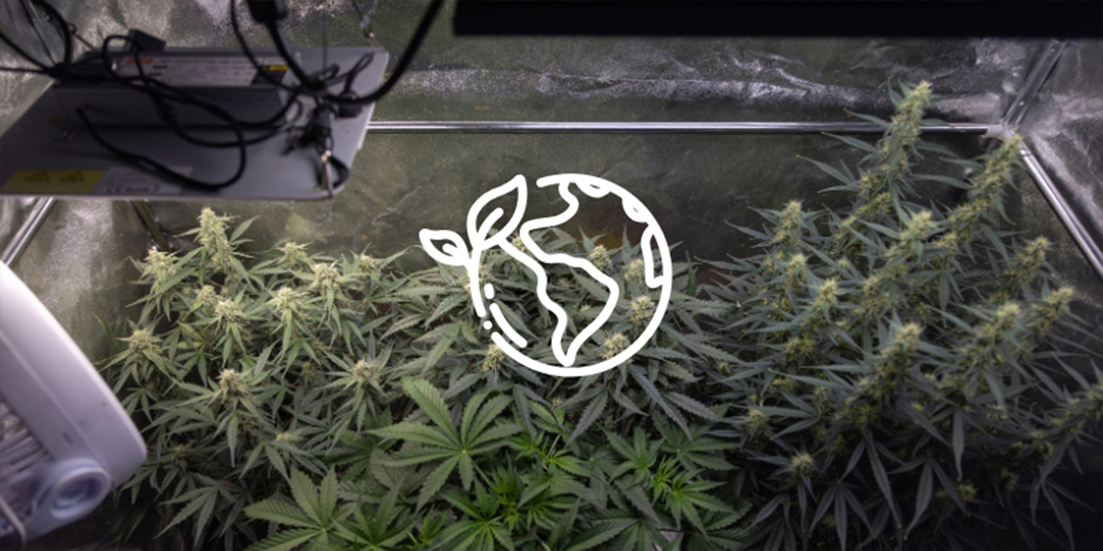 Powód nr 5: To bardziej zrównoważone