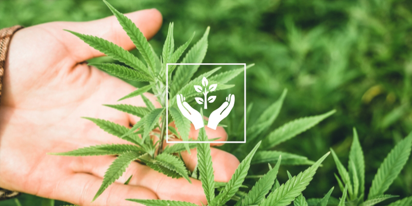 Powód nr 8: Terapeutyczny i uważny