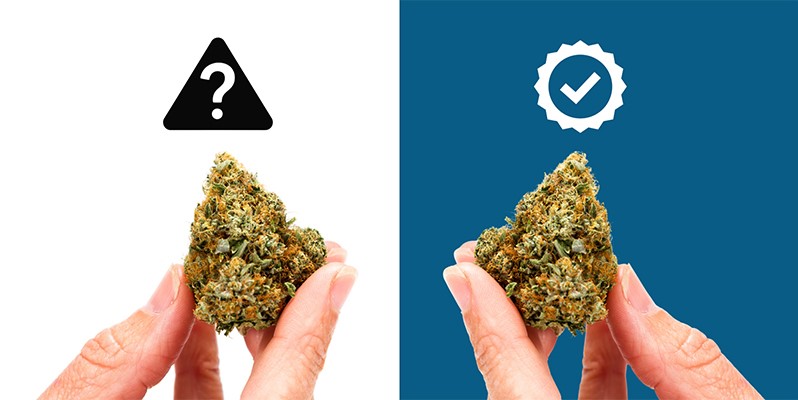 Powód nr 2: Pełna kontrola nad jakością