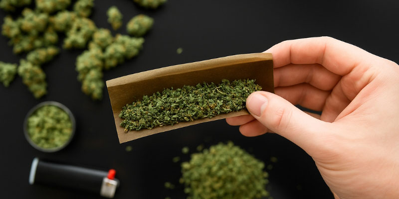 Kwiat CBD (najpopularniejszy wybór)