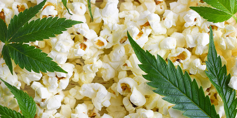 Przekąski z konopi dziś