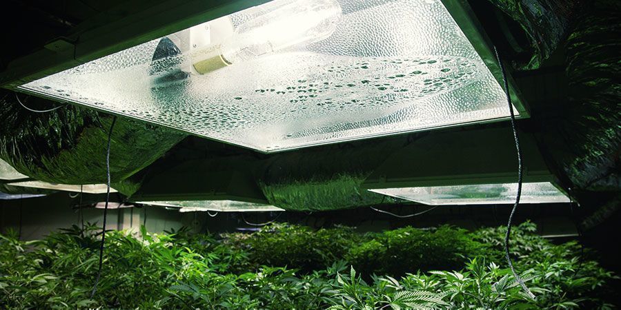 Sprawdź swój sprzęt Check Your Equipment