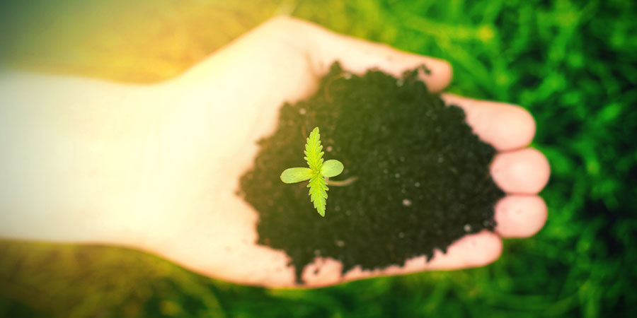 JAK UPRAWIAĆ MOBY DICK