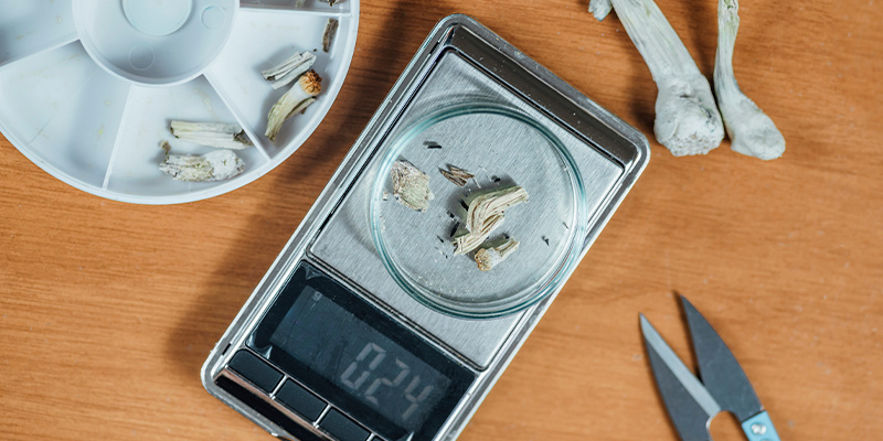 Wybór odpowiedniego psychodeliku i dawki Wybór odpowiedniego psychodeliku i dawki