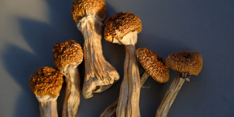 Tworzenie komfortowego otoczenia Creating a comfortable environment