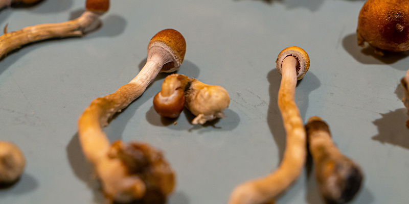 Jak radzić sobie z trudnymi doświadczeniami i złymi tripami Jak radzić sobie z trudnymi doświadczeniami i złymi tripami