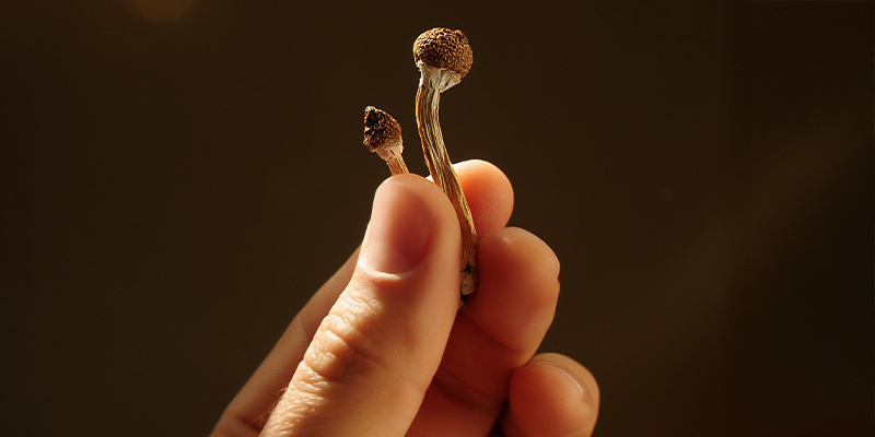 Post-trip reflection Post-trip reflection