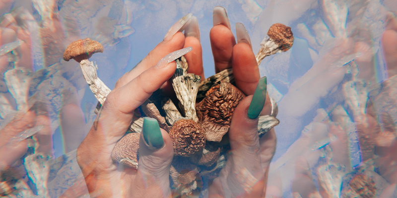 Znaczenie setu i settingu Understanding the importance of set and setting