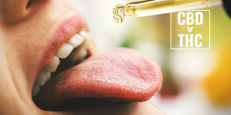 Czy CBD może przekształcić się w THC w ludzkim organizmie? Czy CBD może przekształcić się w THC w ludzkim organizmie?